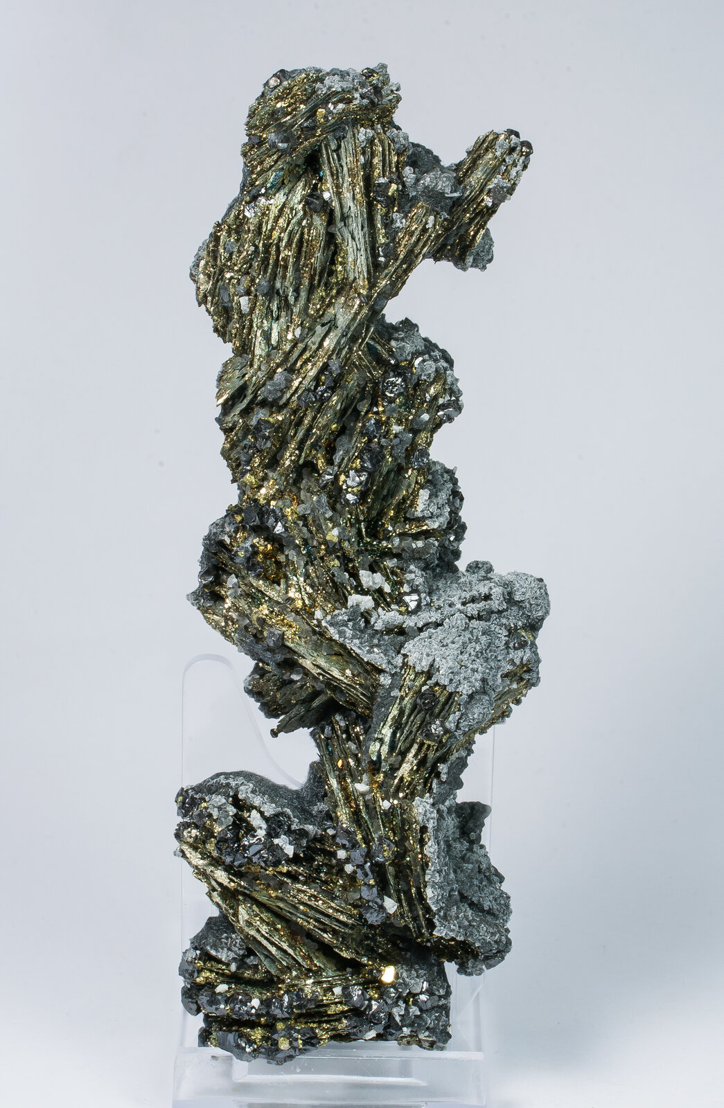 specimens/s_imagesAN9/Pyrite-MFR96AN9f.jpg