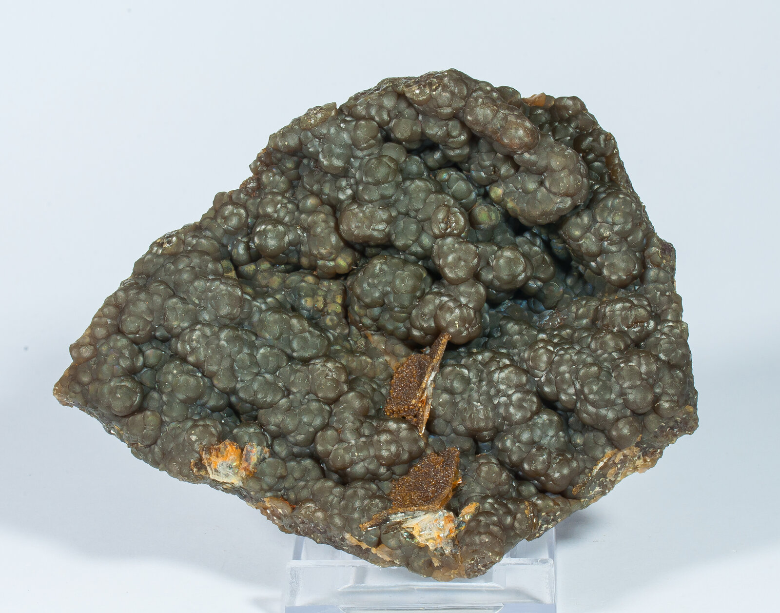 specimens/s_imagesAN9/Siderite_spharosiderite-ETB76AN9f.jpg