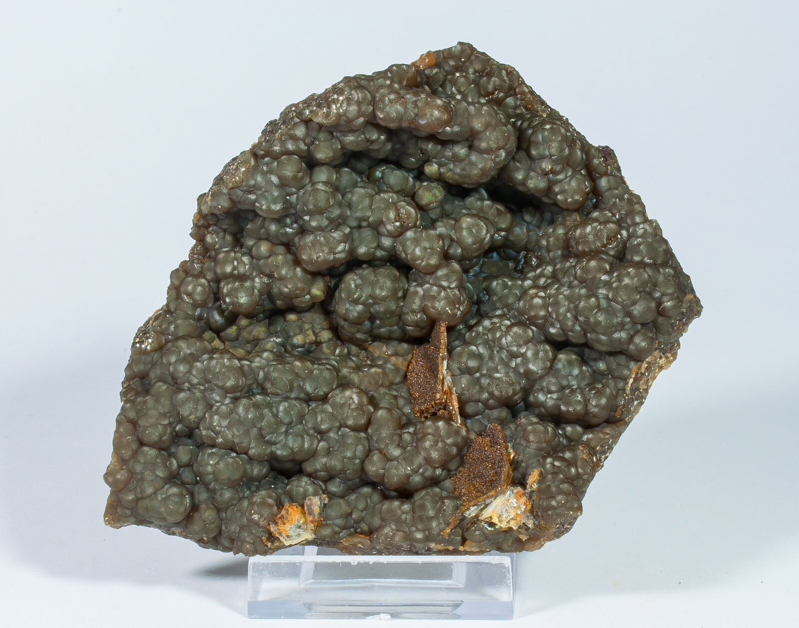 specimens/s_imagesAN9/Siderite_spharosiderite-ETB76AN9s.jpg