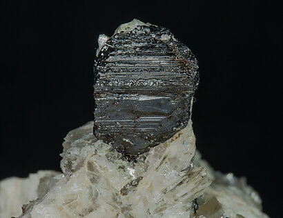 Tapiolite-(Fe) with Quartz and Muscovite. 