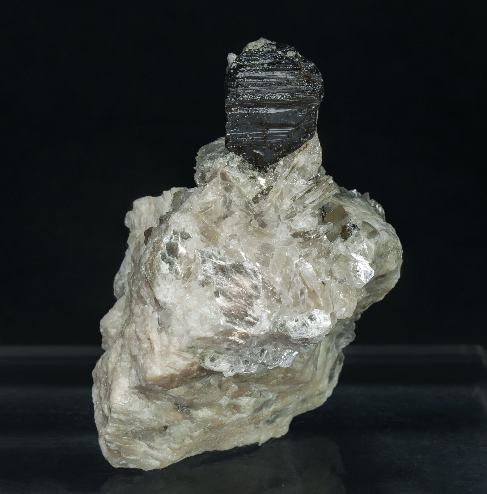 specimens/s_imagesAN9/Tapiolite_Fe-MMB14AN9f.jpg