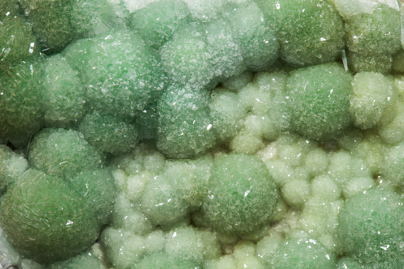 specimens/s_imagesAN9/Wavellite-NRV16AN9d.jpg