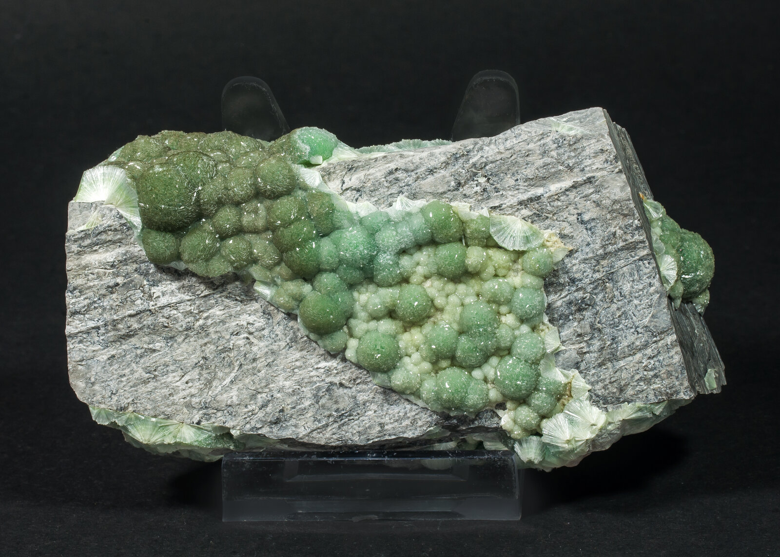 specimens/s_imagesAN9/Wavellite-NRV16AN9f.jpg