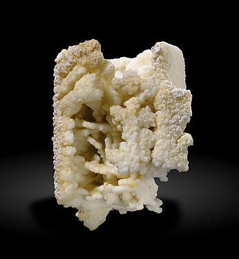 Calcite (variety kanonenspat) with Quartz. Rear / Photo: Joaquim Calln