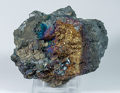 Chalcocite with Pyrite.