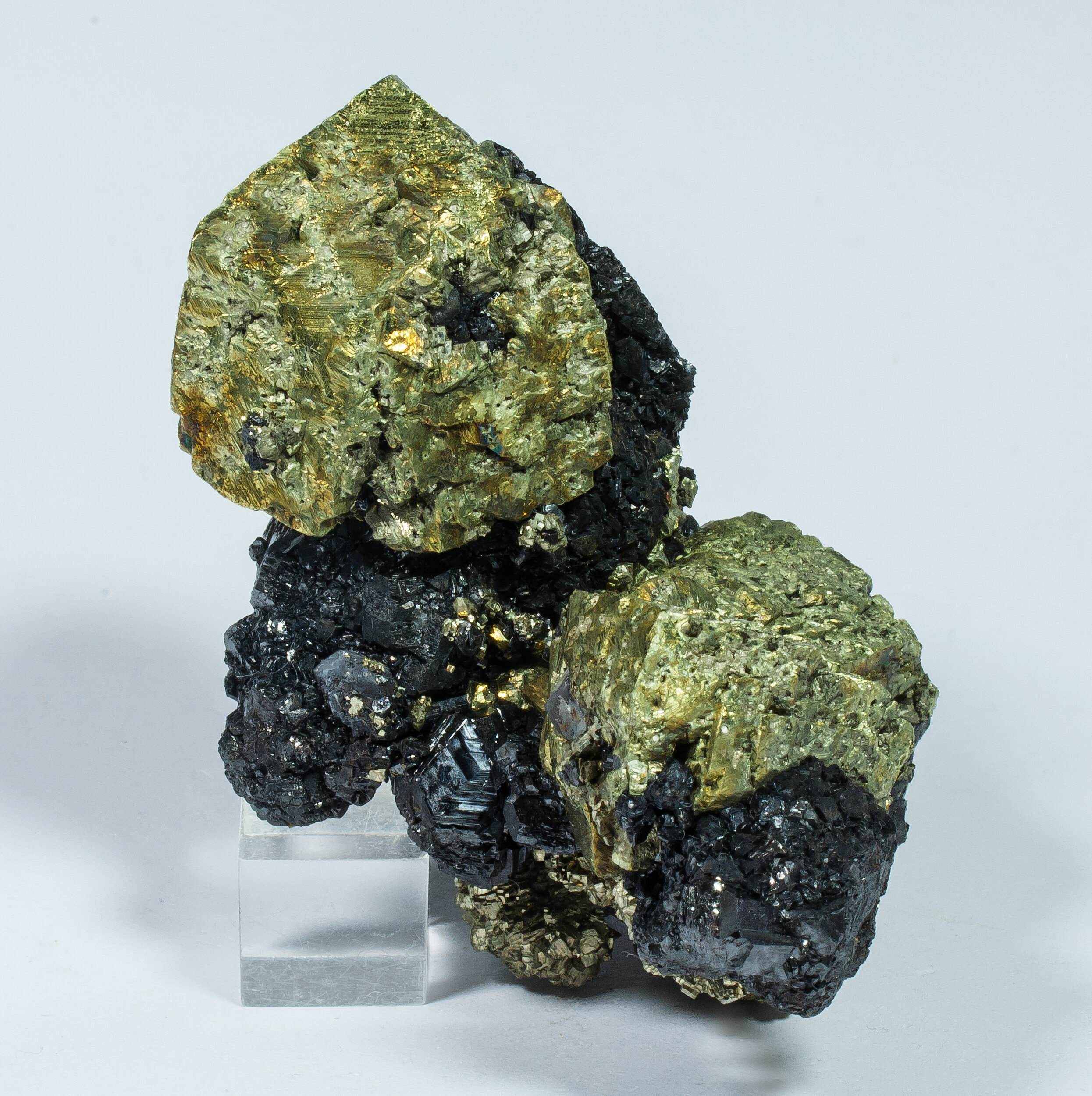 specimens/s_imagesAO0/Chalcopyrite-MF96AO0f.jpg