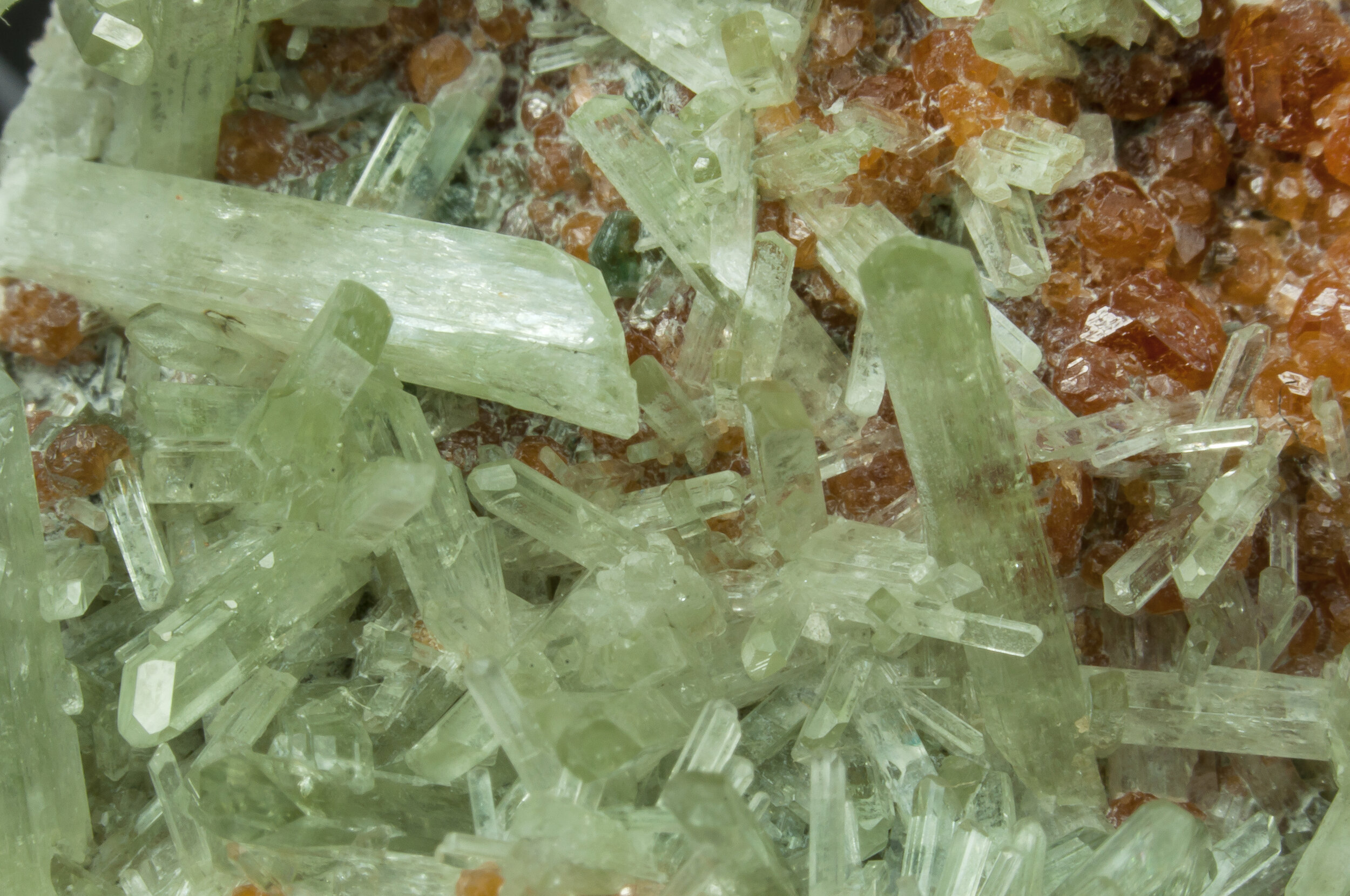 specimens/s_imagesAO0/Diopside-CMB96AO0d2.jpg