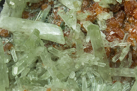 Diopside with Grossular (variety hessonite). 