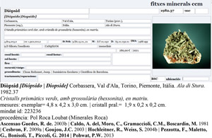 Diopsido con Grossularia (variedad hessonita)