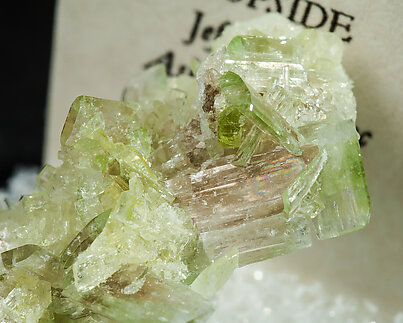 Diopside. 