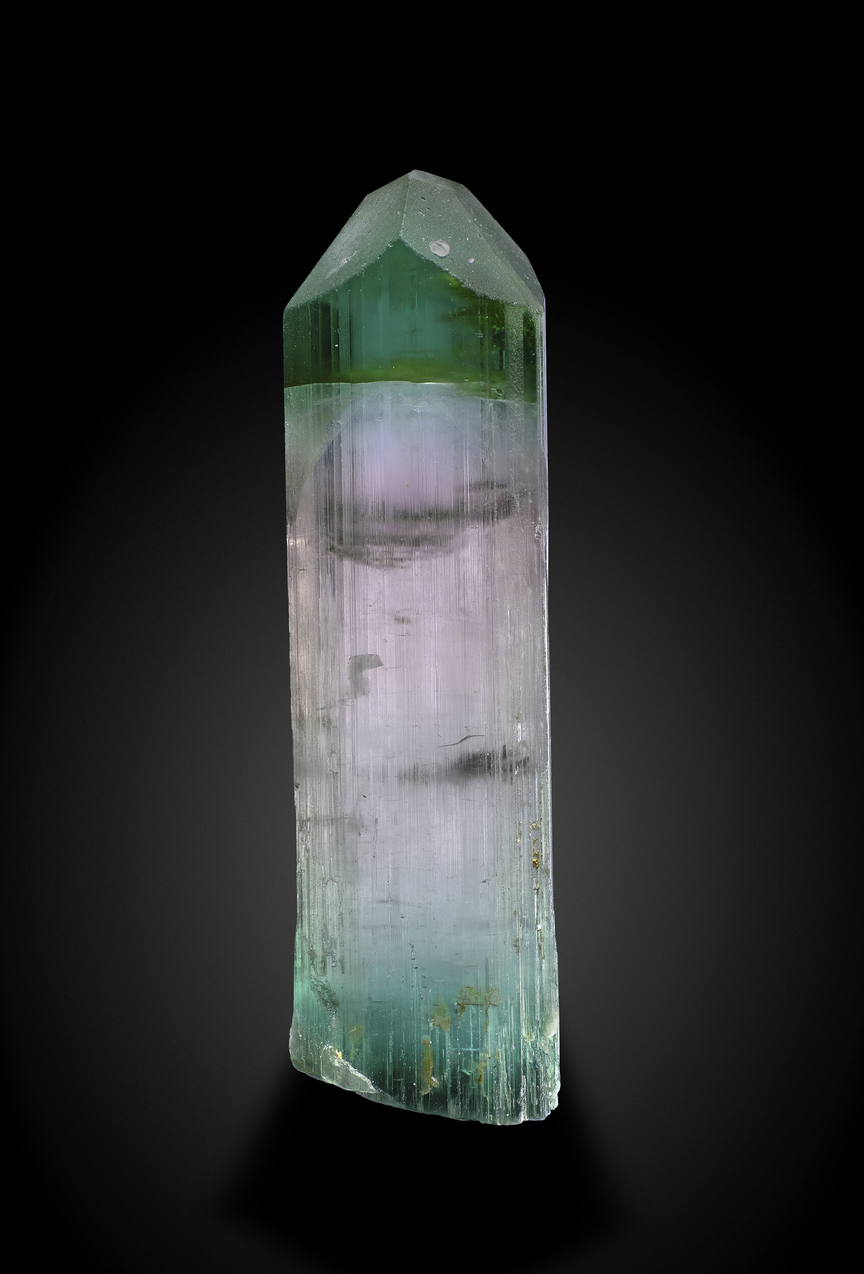 specimens/s_imagesAO0/Elbaite-ERF91AO0_5738_f.jpg