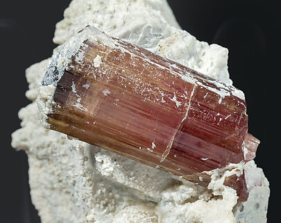 Elbaite-Schorl (variety rubellite) with Microcline and Quartz. 