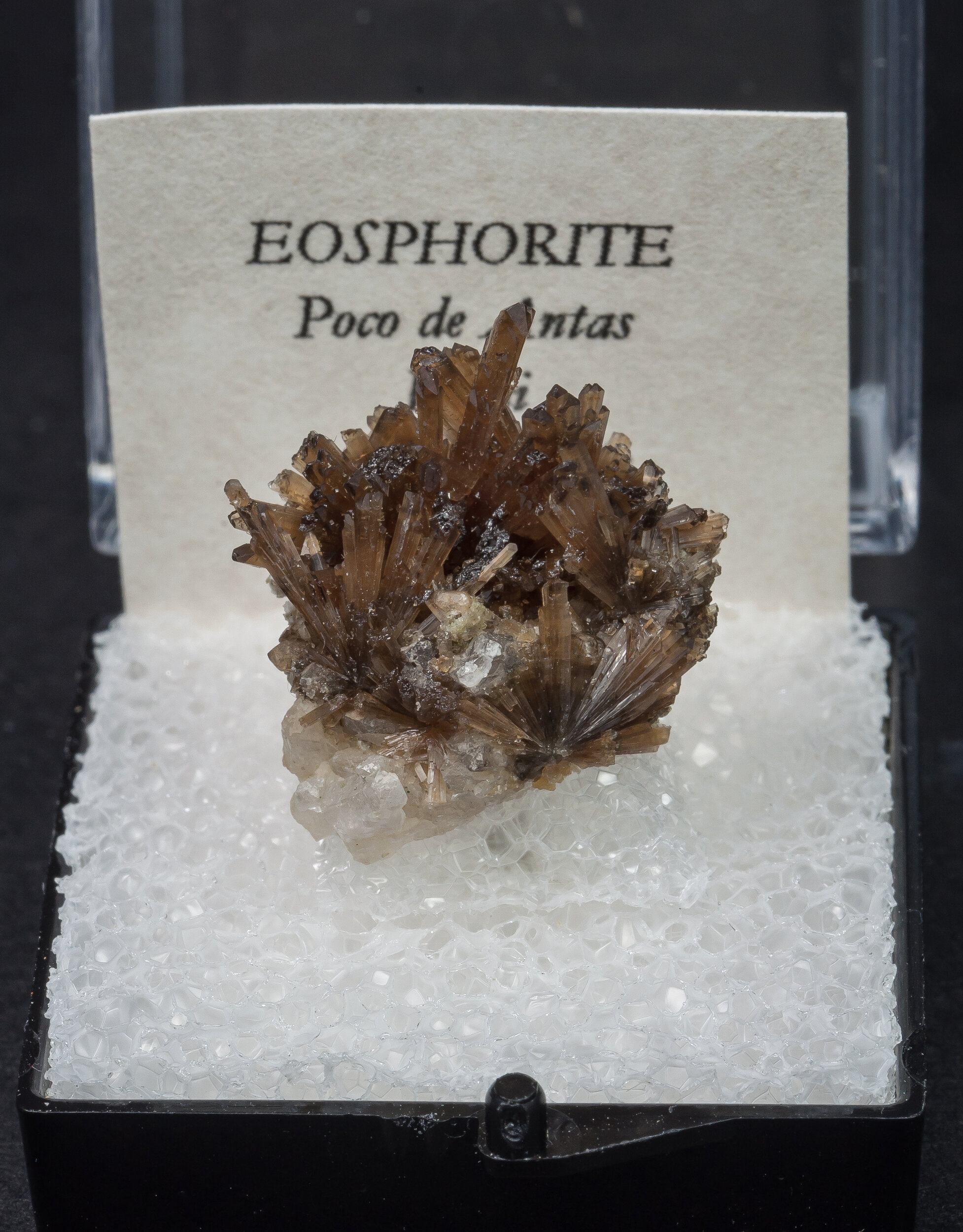 specimens/s_imagesAO0/Eosphorite-TZB13AO0f1.jpg