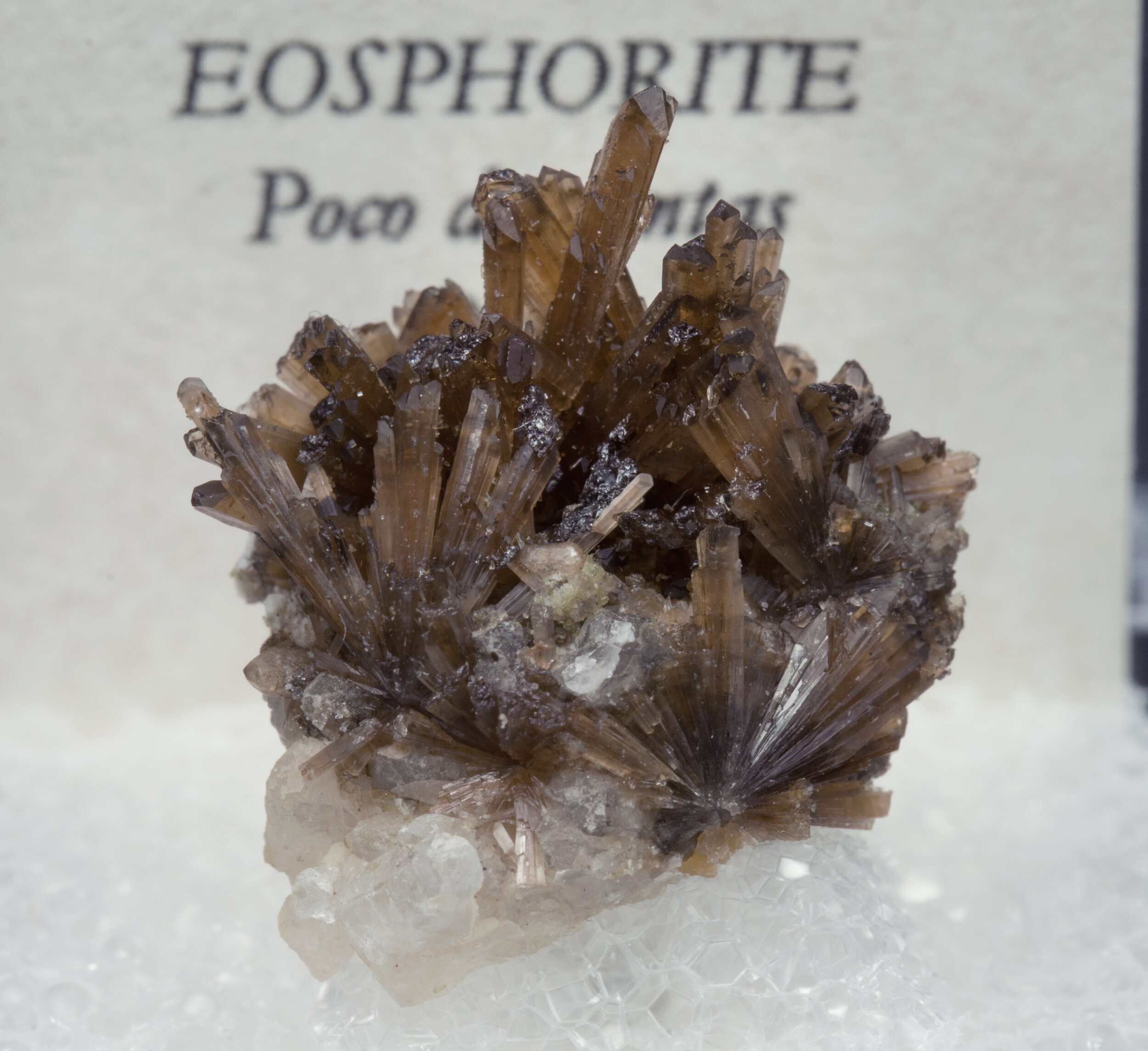 specimens/s_imagesAO0/Eosphorite-TZB13AO0f2.jpg