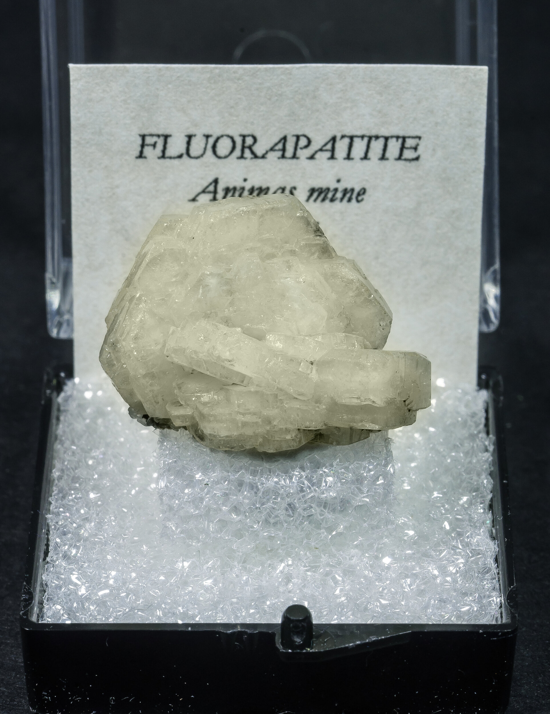 specimens/s_imagesAO0/Fluorapatite-TLB6AO0f1.jpg