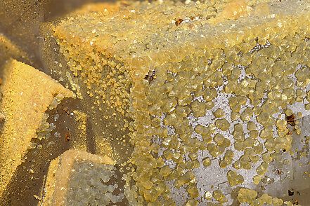 Fluorite with Quartz and iron oxides. Detail / Photo: Joaquim Calln