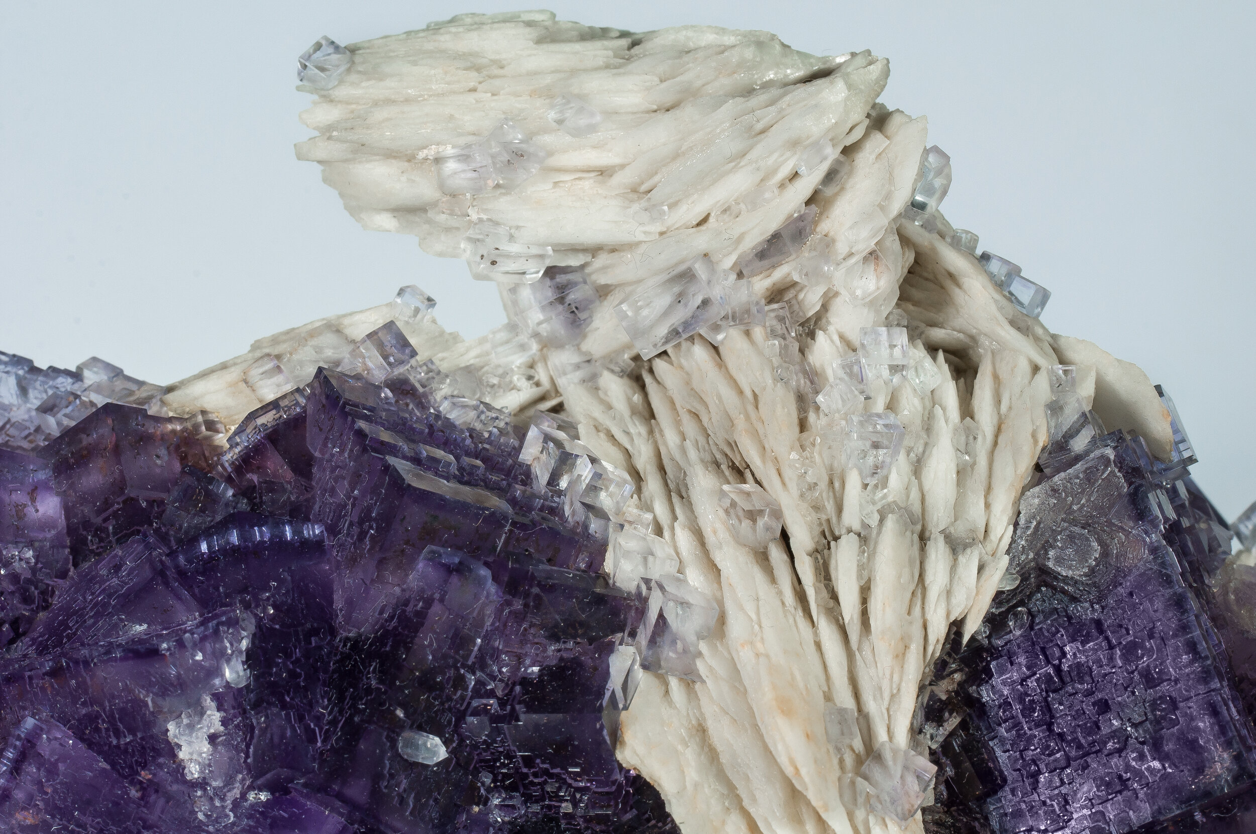 specimens/s_imagesAO0/Fluorite-TMP26AO0d2.jpg