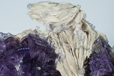 Fluorite with Baryte. 