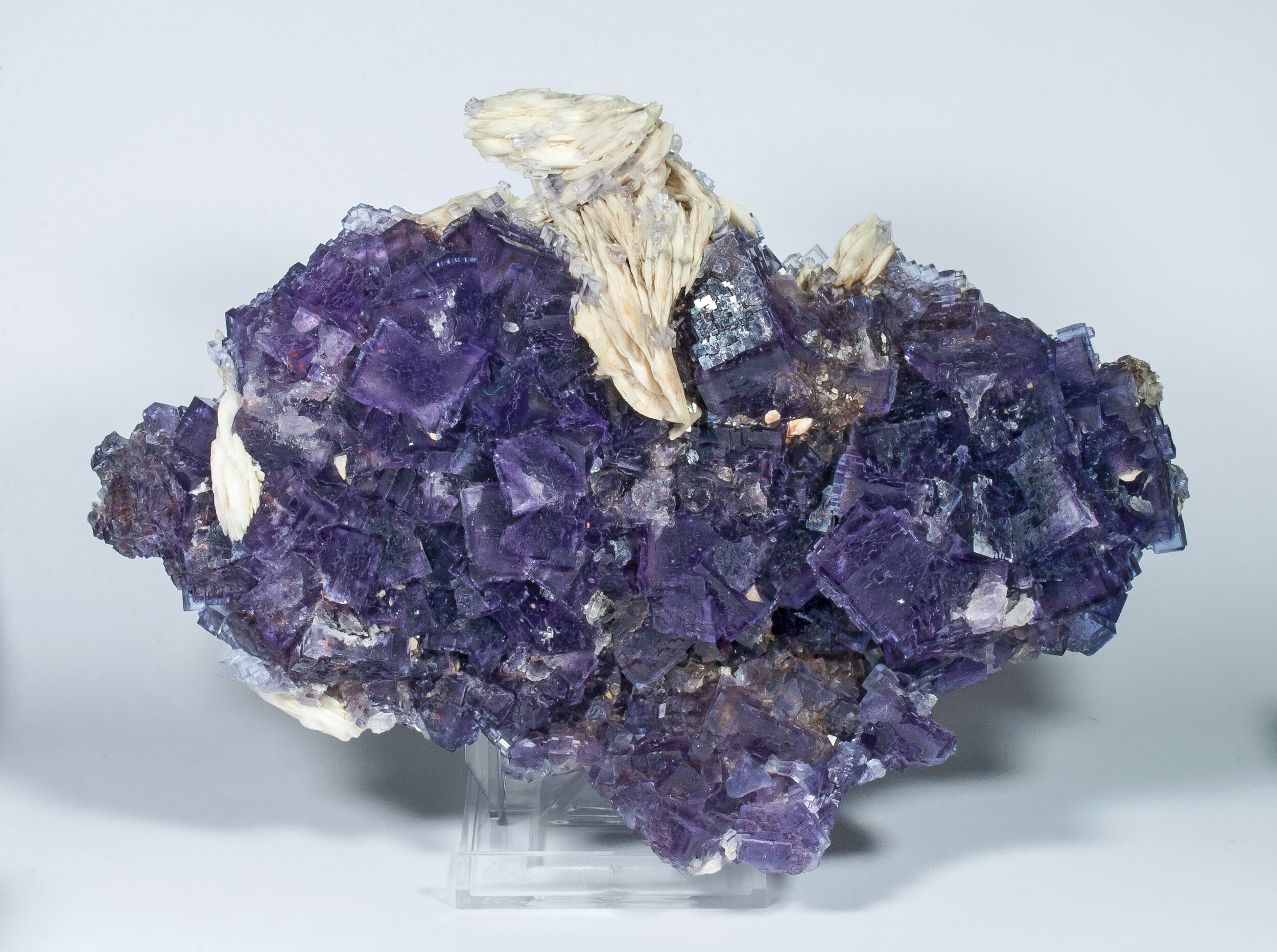 specimens/s_imagesAO0/Fluorite-TMP26AO0f.jpg