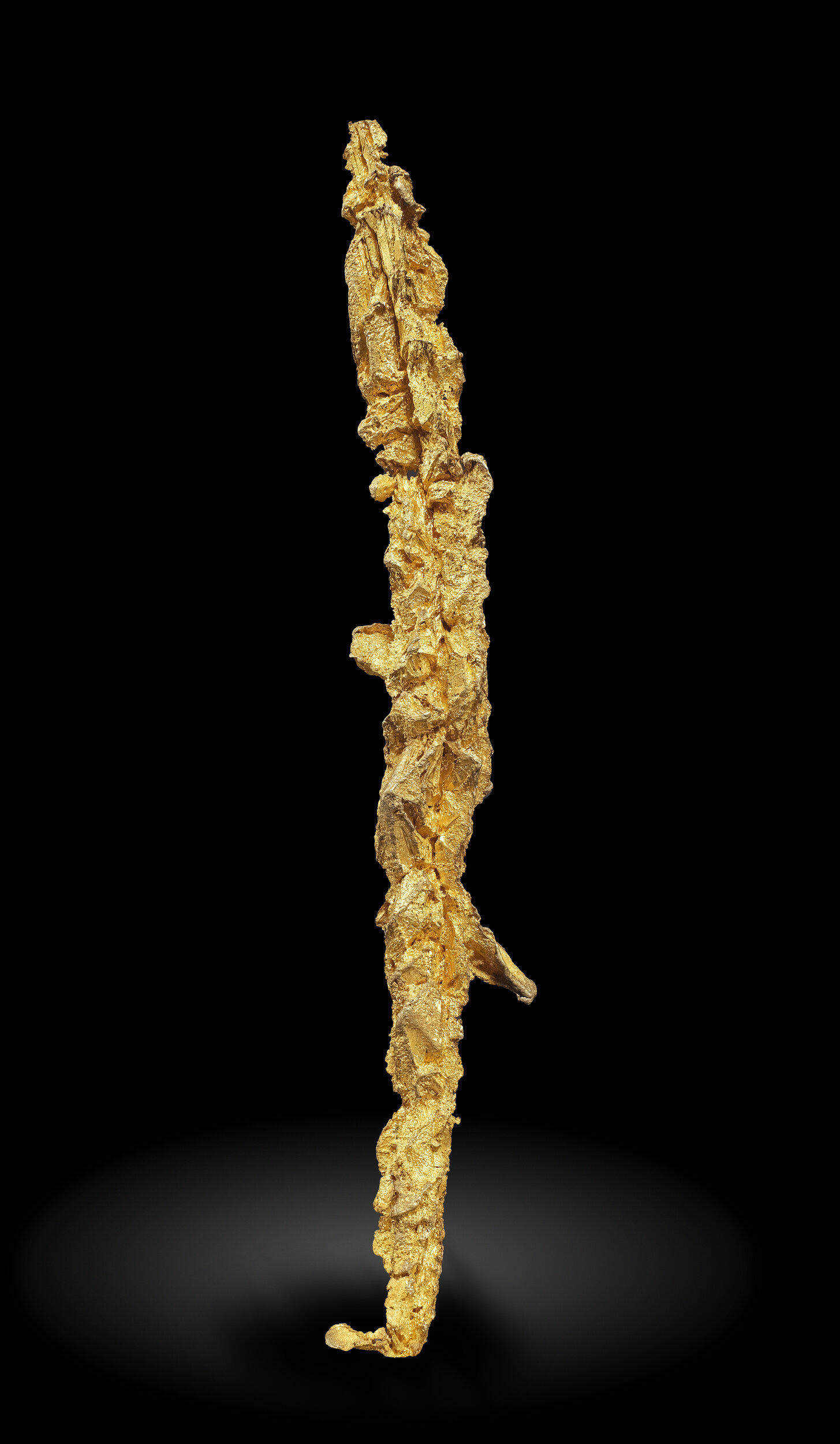 specimens/s_imagesAO0/Gold-EFR88AO0_0051_f.jpg