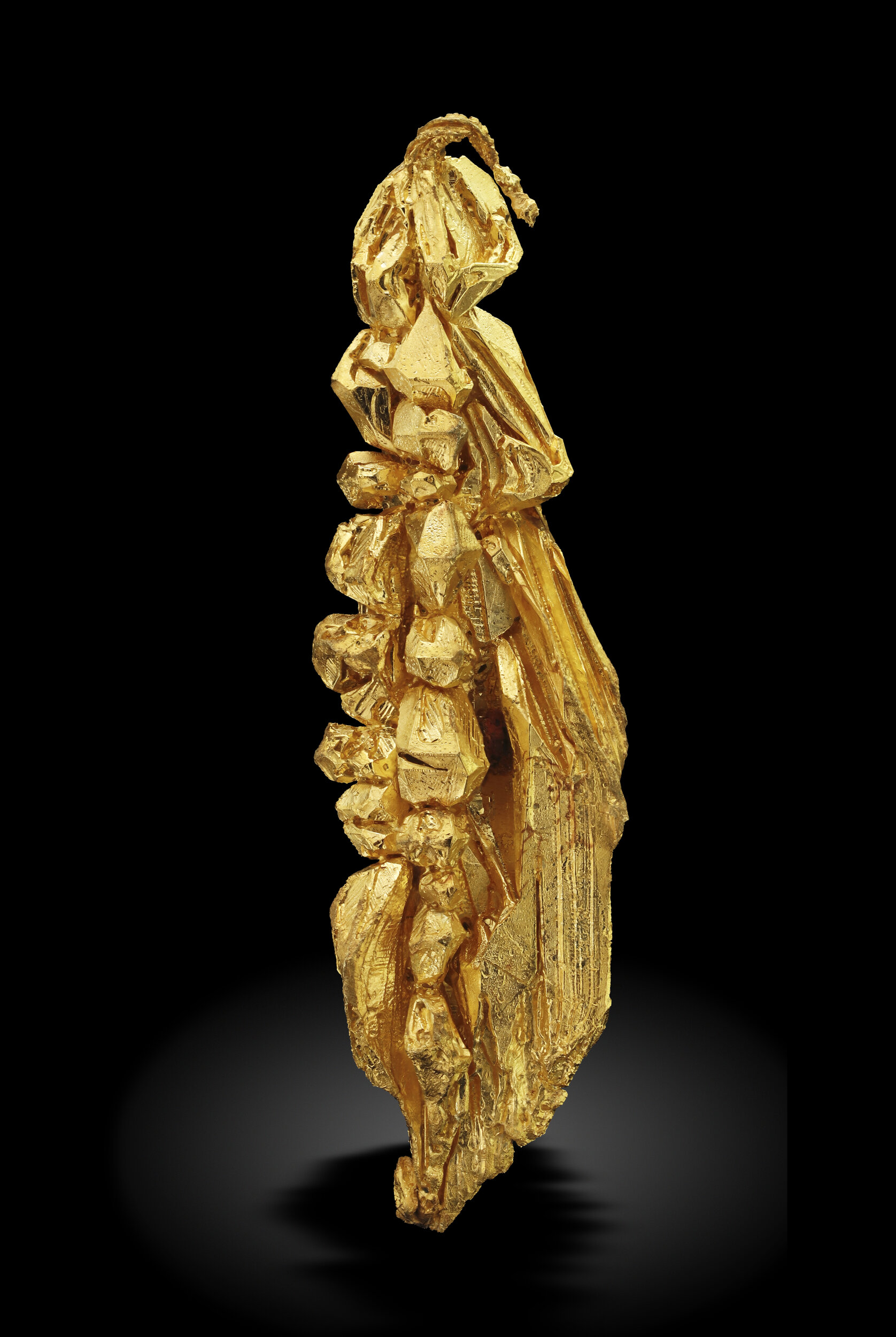 specimens/s_imagesAO0/Gold-TDA86AO0_0434_r.jpg