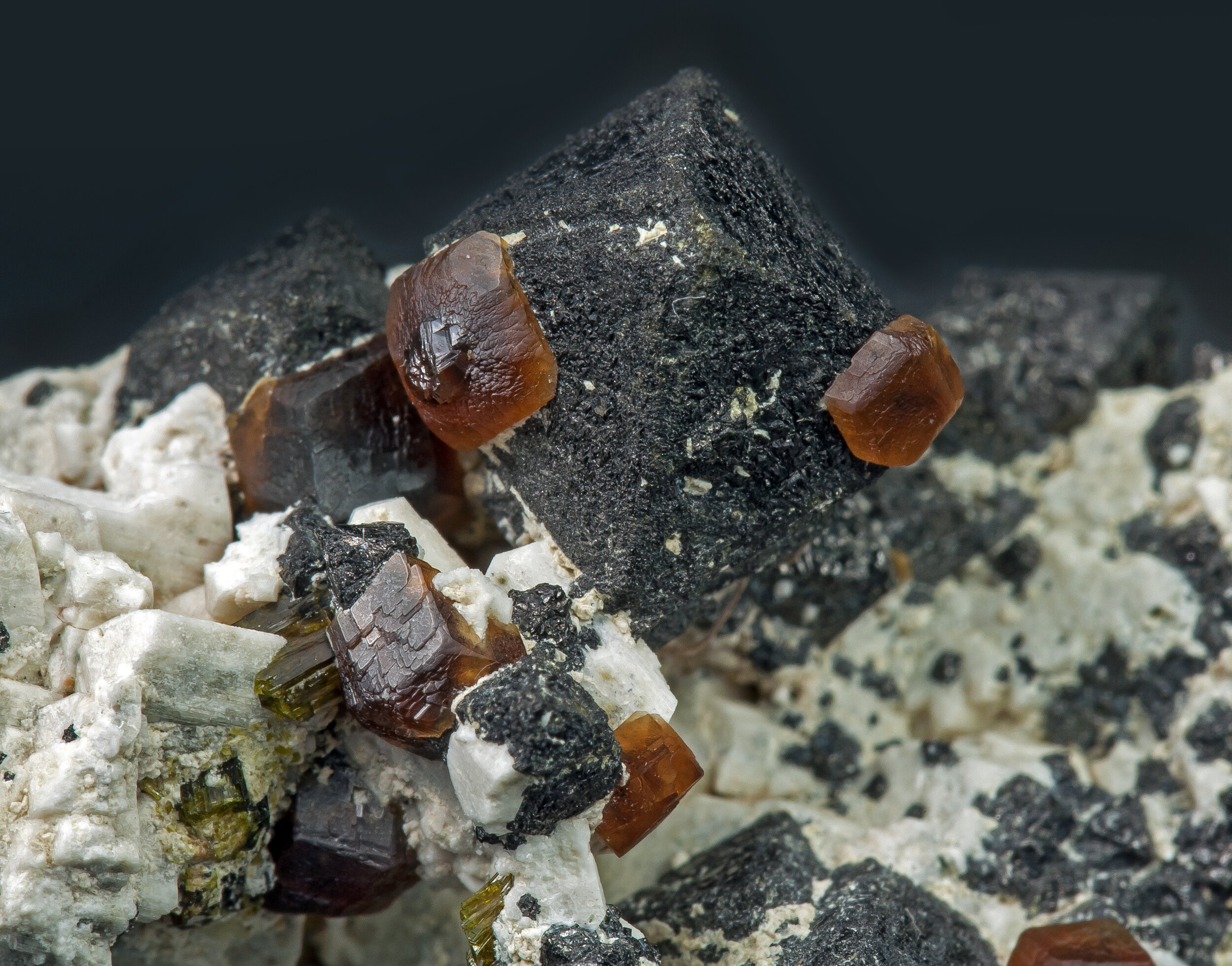 specimens/s_imagesAO0/Magnetite-TBM14AO0d.jpg