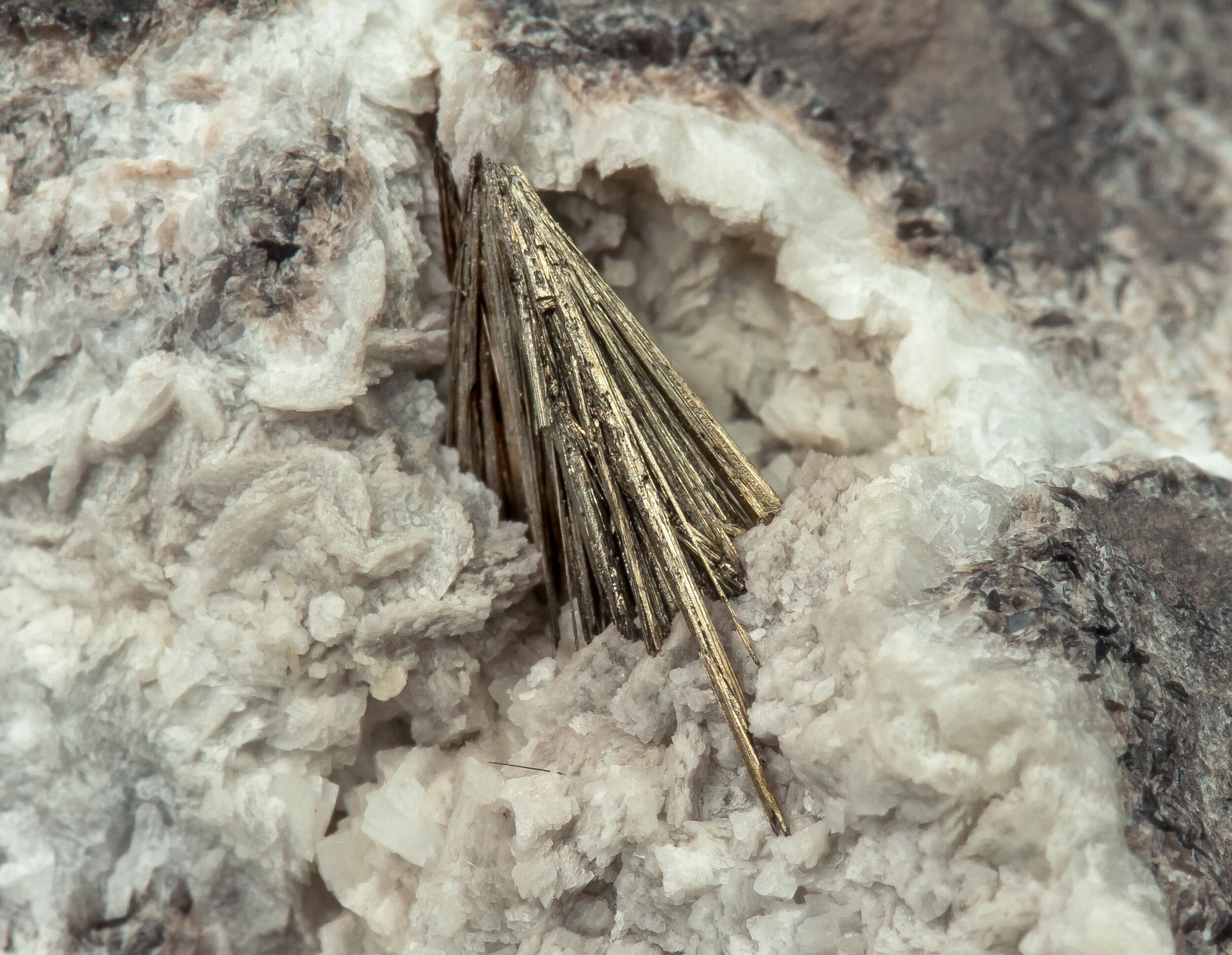 specimens/s_imagesAO0/Millerite-CXL67AO0d1.jpg