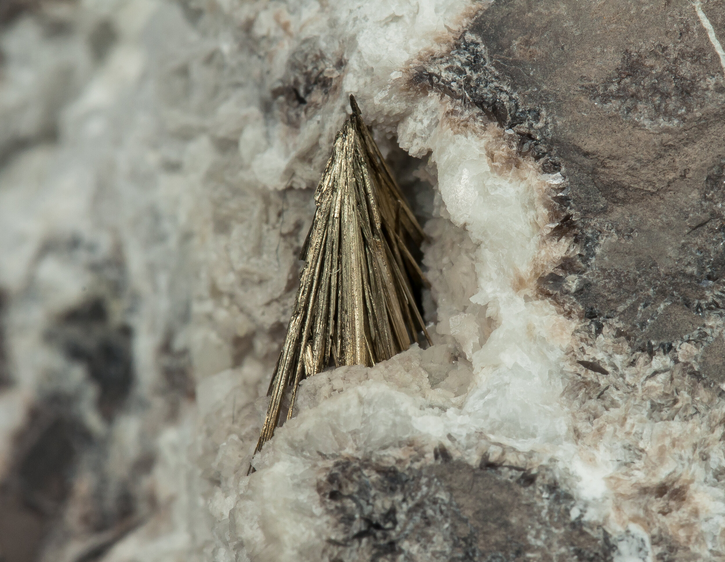 specimens/s_imagesAO0/Millerite-CXL67AO0d2.jpg