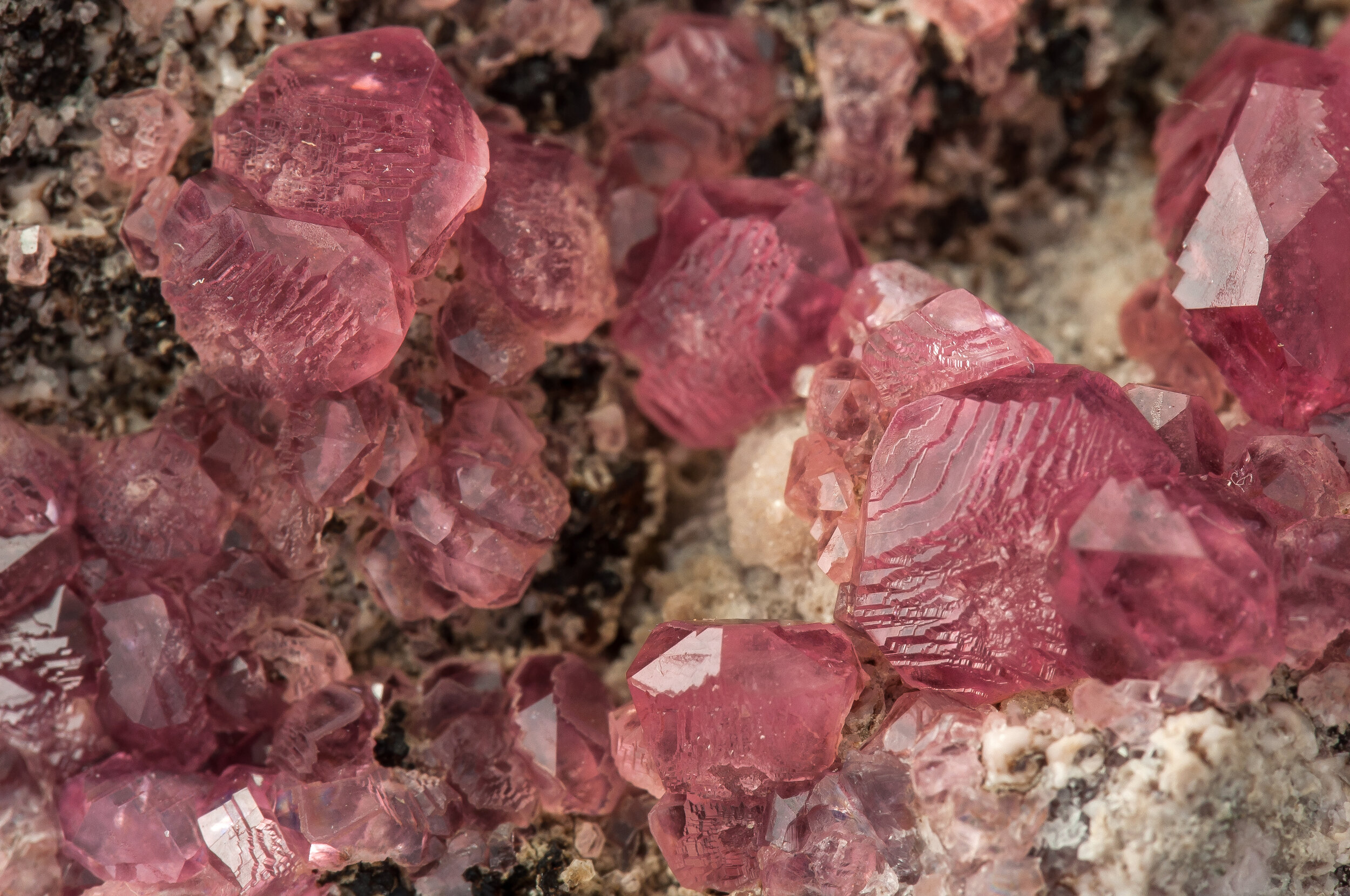 specimens/s_imagesAO0/Rhodochrosite-TFR87AO0d.jpg