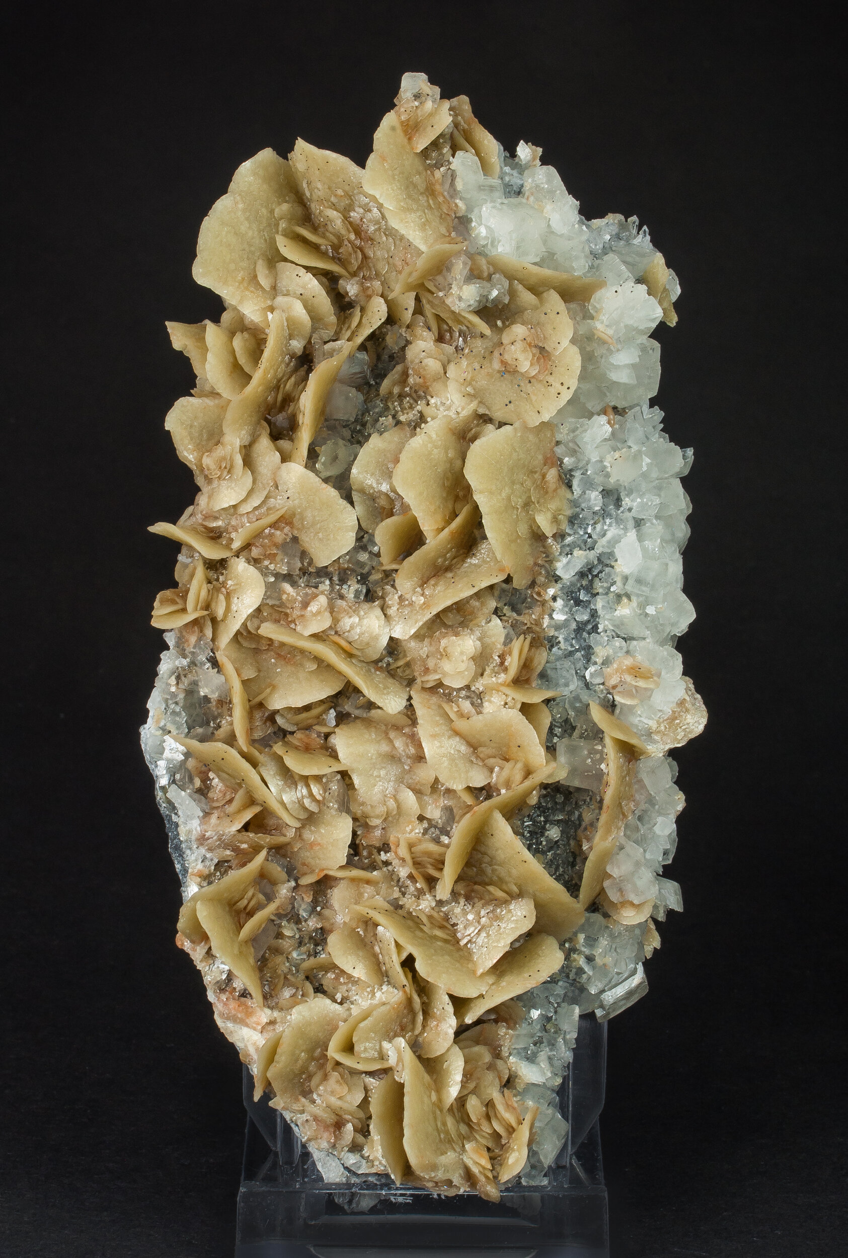 specimens/s_imagesAO0/Siderite-ETB87AO0s.jpg