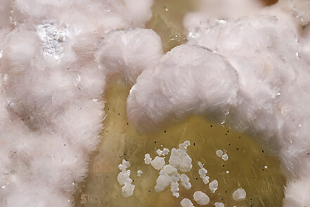 Tobermorite (Group) with Calcite. Detail / Photo: Joaquim Calln