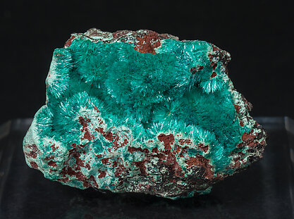 87 g 6.2 x 3 x 4.5 cm High Quality Azurite Crystals with Malachite on Matrix Personal Collection