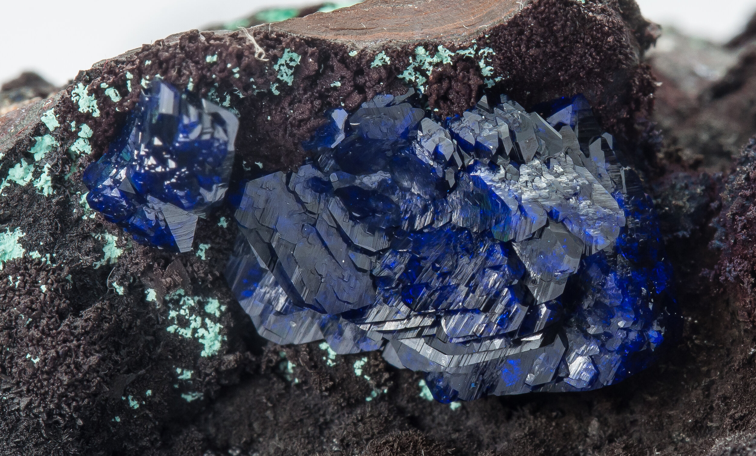 specimens/s_imagesAO1/Azurite-EXH37AO1d.jpg