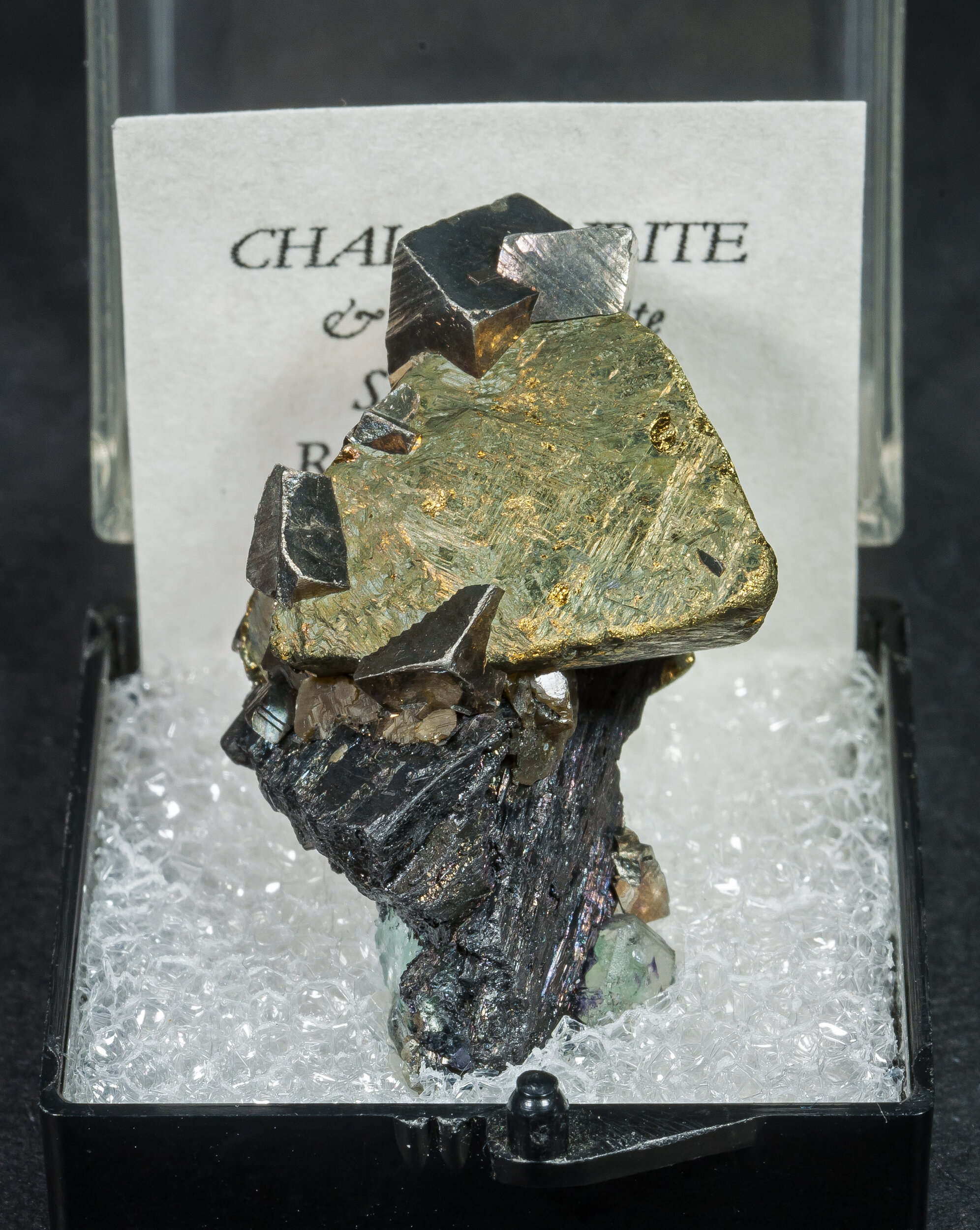 specimens/s_imagesAO1/Chalcopyrite-TAM16AO1f.jpg