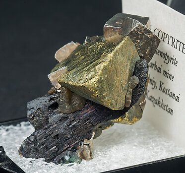 Chalcopyrite with Arsenopyrite. Side