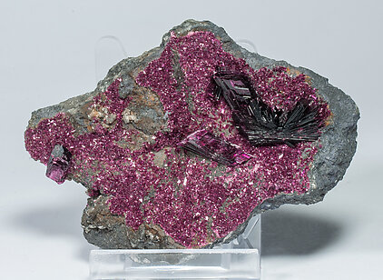 Erythrite with Calcite. Front