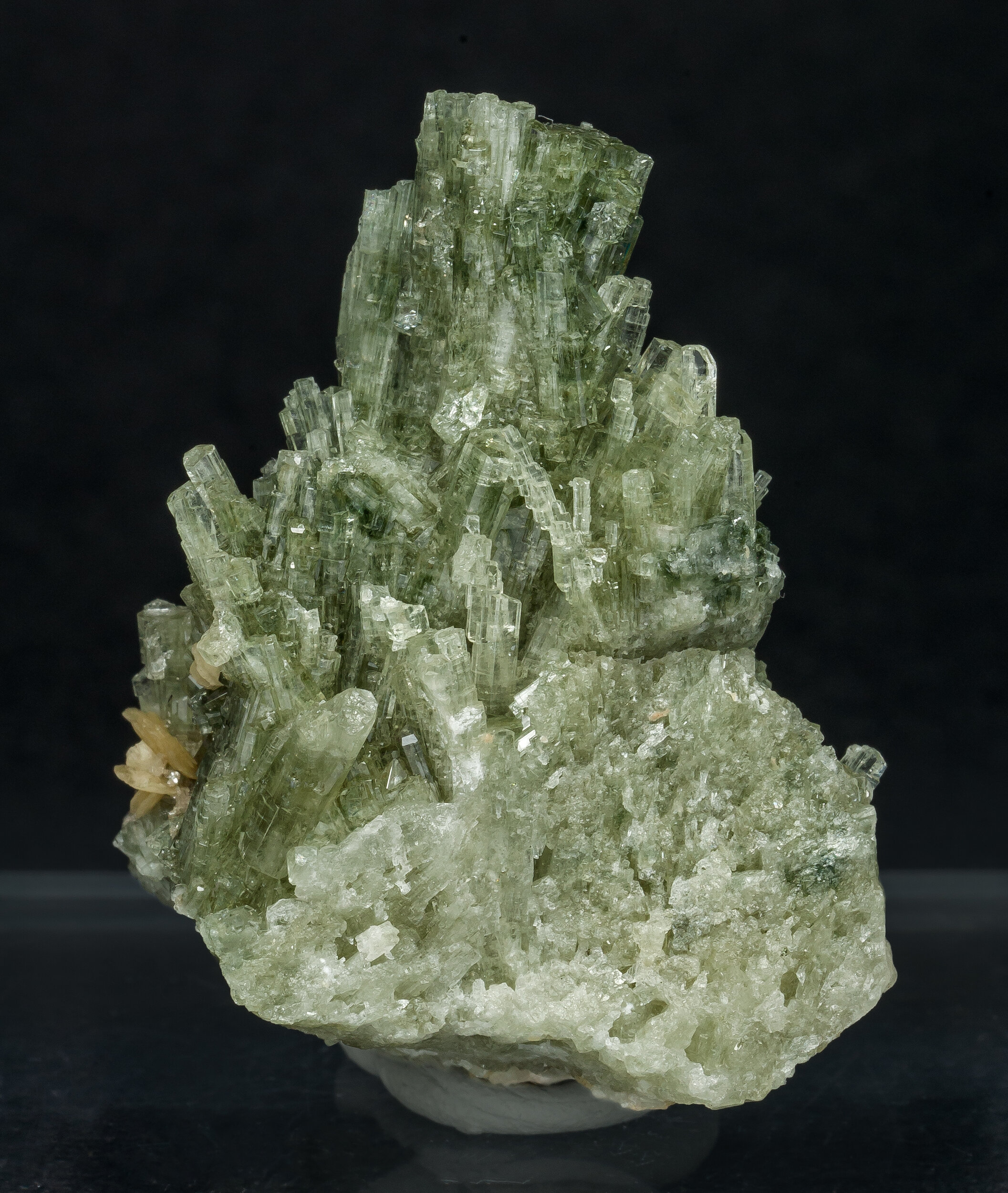 specimens/s_imagesAO1/Fluorapatite-JFD91AO1r.jpg