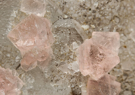 Fluorite (octahedral) with Quartz (variety smoky). 