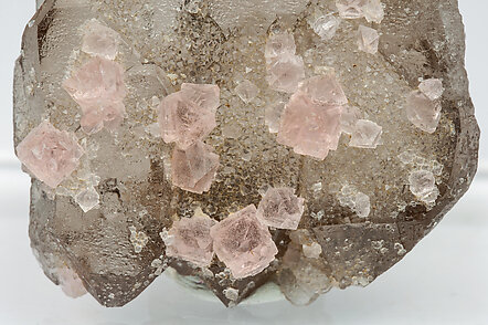 Fluorite (octahedral) with Quartz (variety smoky). 