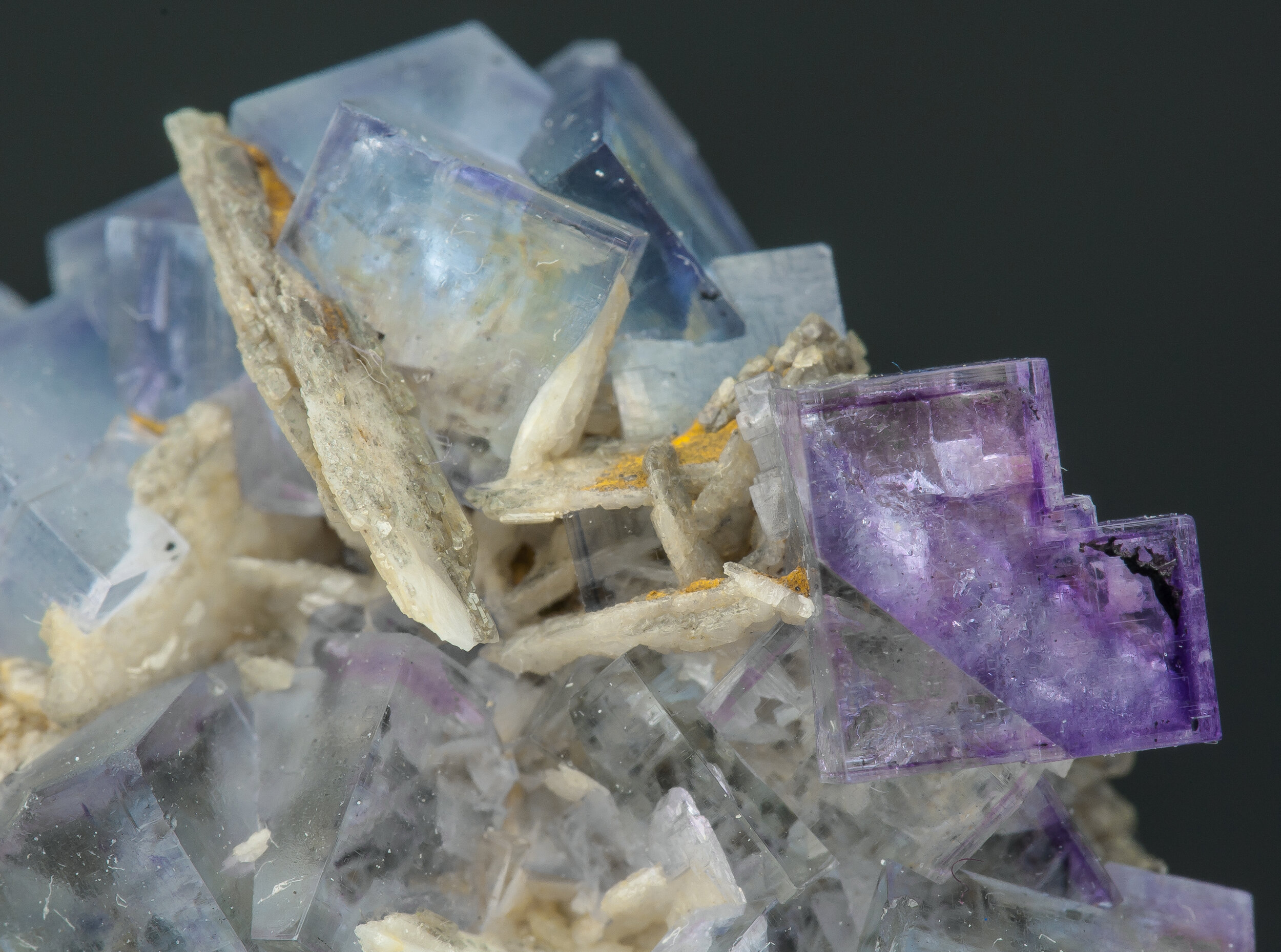 specimens/s_imagesAO1/Fluorite-JFD90AO1d1.jpg