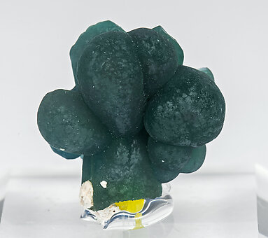 Plumbogummite with Pyromorphite.