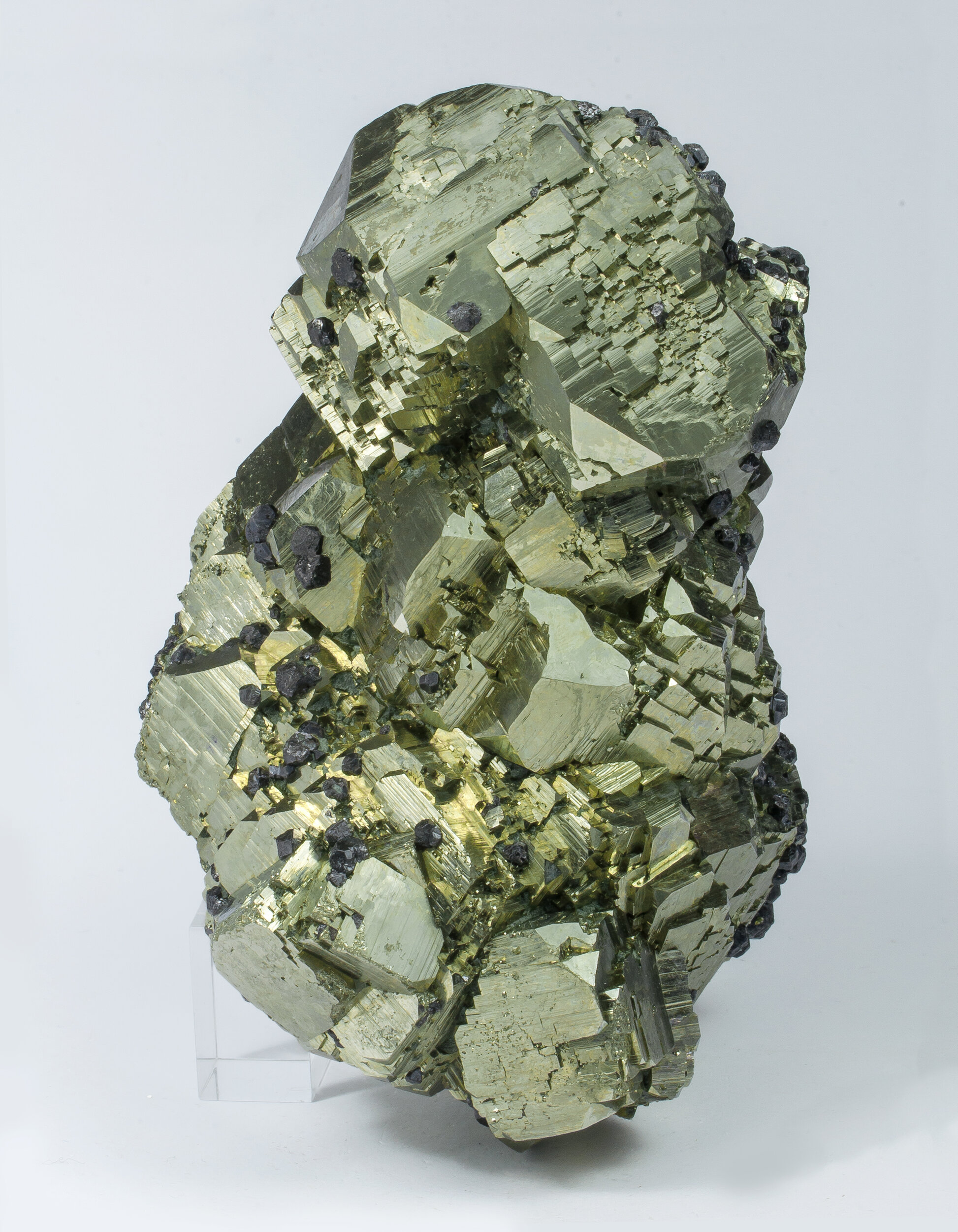 specimens/s_imagesAO1/Pyrite-EMF96AO1s.jpg