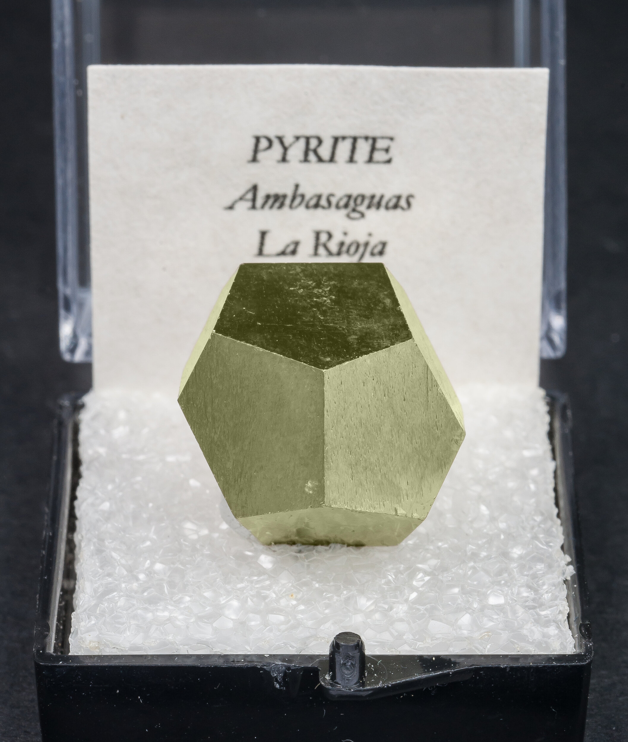 specimens/s_imagesAO1/Pyrite-TTR9AO1f.jpg