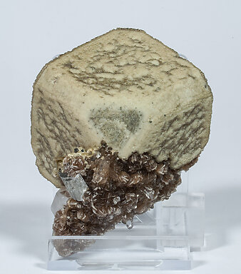 Siderite with Arsenopyrite and Muscovite. Front