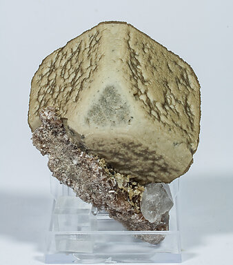 Siderite with Arsenopyrite and Muscovite. Rear