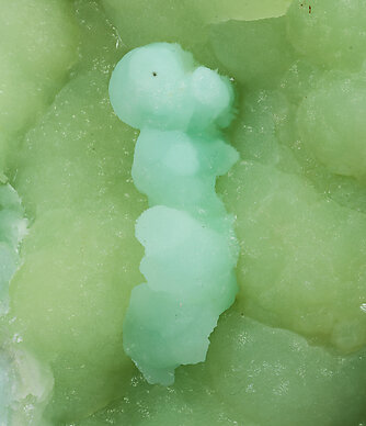 Aragonite on Calcite. 