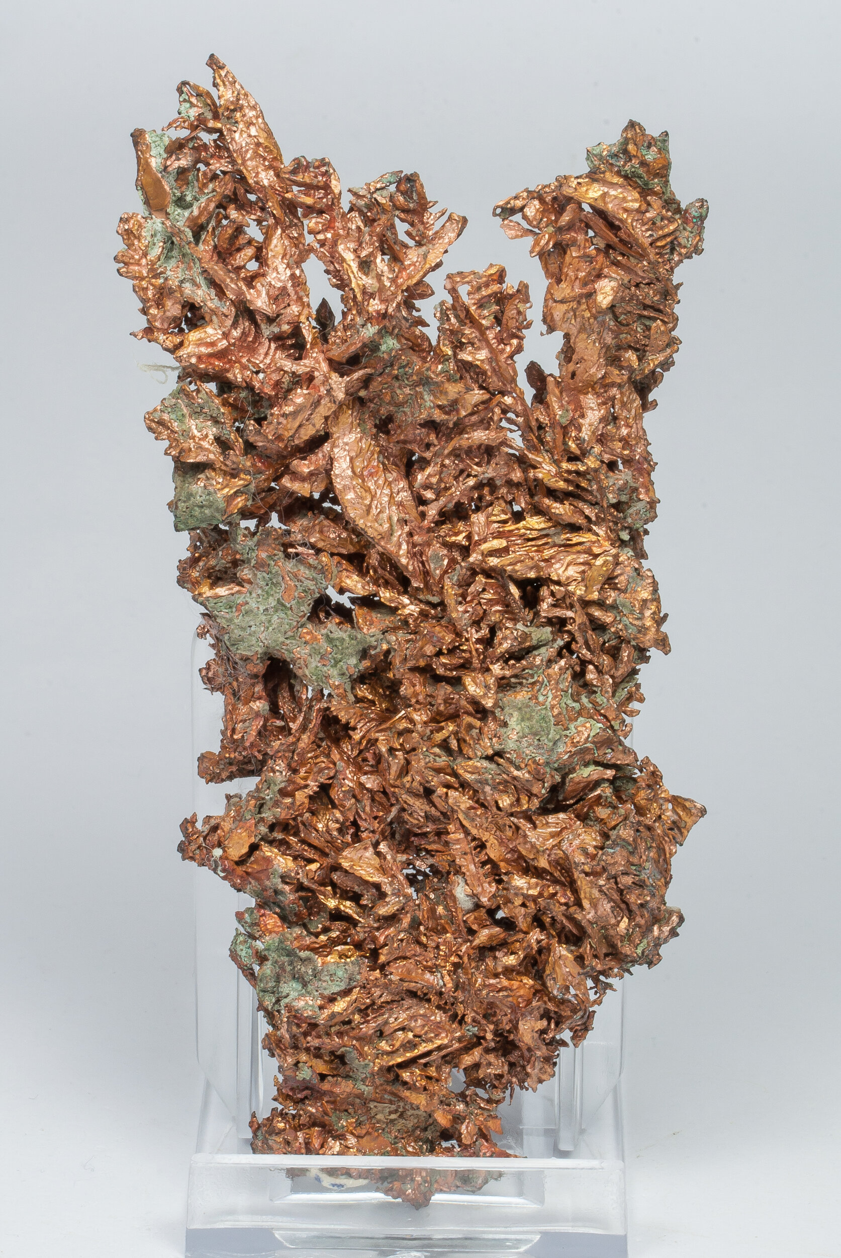 specimens/s_imagesAO2/Copper-MXL90AO2r.jpg