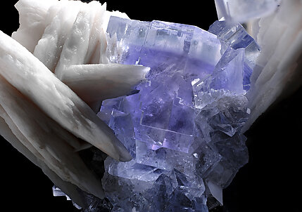 Fluorite with Baryte. Detail / Photo: Joaquim Calln