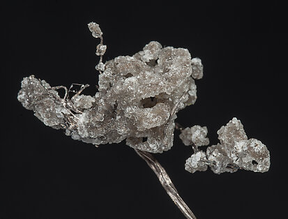 Plata con Calcita. Detalle / Foto: Joaquim Callén