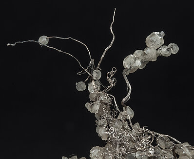 Plata con Calcita. Detalle / Foto: Joaquim Callén